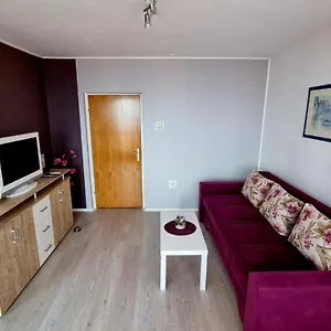 https://apartman-rose-rijeka.primorje-gorskikotar.com